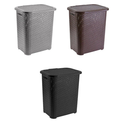 45L Laundry Basket with Lid — Assorted Colour